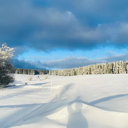Hotel Haus Rosenbaum Am Rennsteig Gruppenhaus - - Begegnungsstätte Bis 50 Personen *