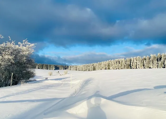 Hotel Haus Rosenbaum am Rennsteig Gruppenhaus - Pension - Begegnungsstätte bis 50 Personen *