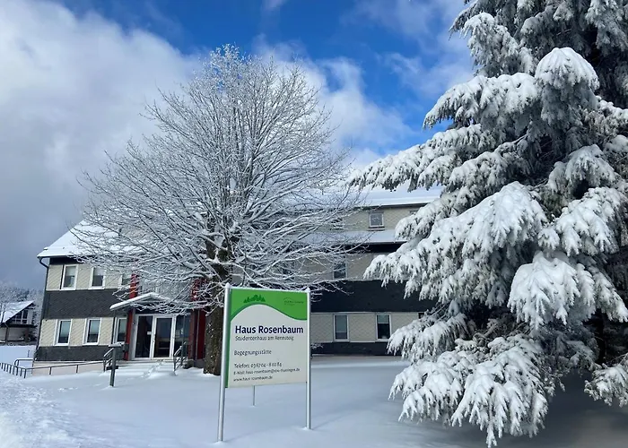 Haus Rosenbaum Am Rennsteig Gruppenhaus - - Begegnungsstaette Bis 50 Personen Hotel