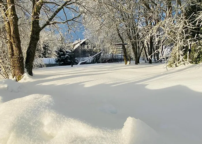 Haus Rosenbaum am Rennsteig Gruppenhaus - Pension - Begegnungsstätte bis 50 Personen * Neuhaus am Rennweg