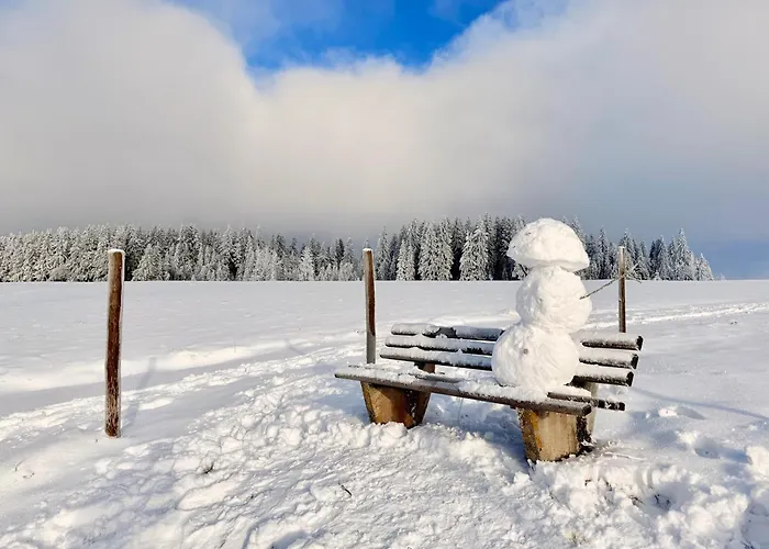 Haus Rosenbaum Am Rennsteig Gruppenhaus - - Begegnungsstaette Bis 50 Personen Hotel