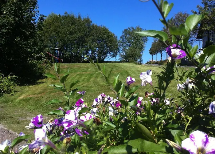 Hotel Haus Rosenbaum Am Rennsteig Gruppenhaus - - Begegnungsstaette Bis 50 Personen *