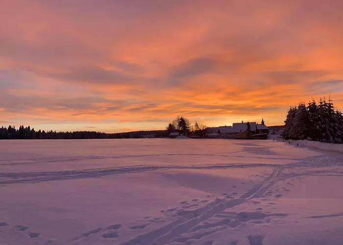 Haus Rosenbaum Am Rennsteig Gruppenhaus - - Begegnungsstaette Bis 50 Personen